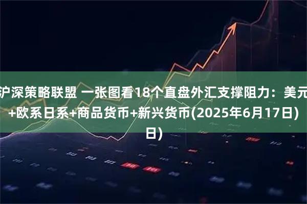 沪深策略联盟 一张图看18个直盘外汇支撑阻力：美元+欧系日系+商品货币+新兴货币(2025年6月17日)