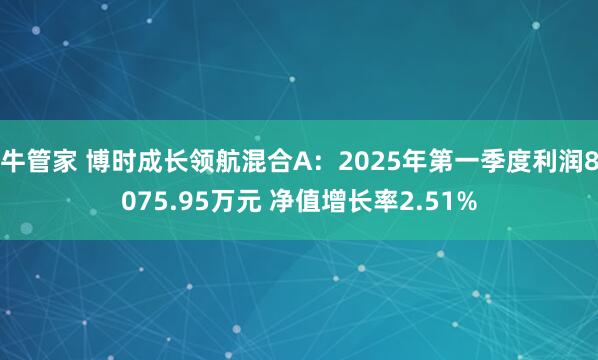 牛管家 博时成长领航混合A：2025年第一季度利润8075.95万元 净值增长率2.51%