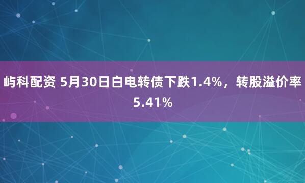屿科配资 5月30日白电转债下跌1.4%，转股溢价率5.41%