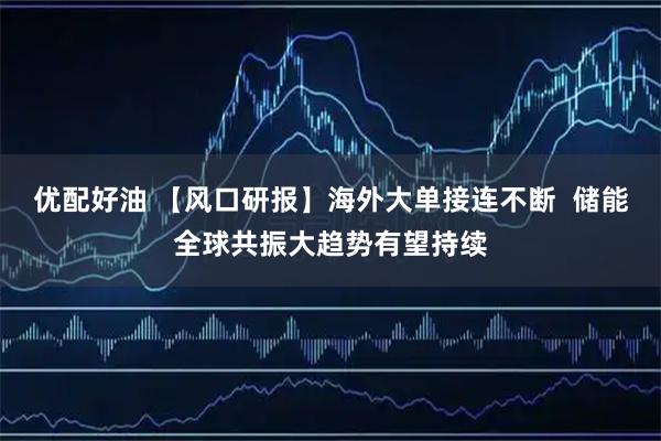 优配好油 【风口研报】海外大单接连不断  储能全球共振大趋势有望持续